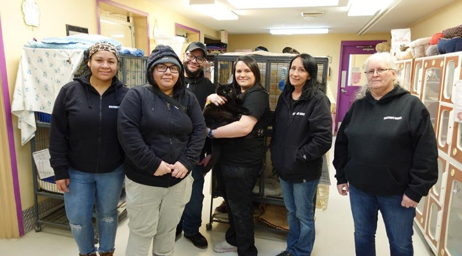Photo for Volunteer Day at SPCA!